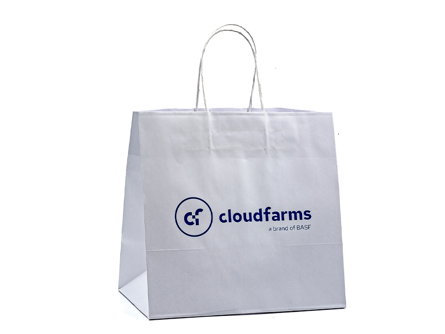 Papierová taška - Sieťotlač;Papírová taška - Sítotisk