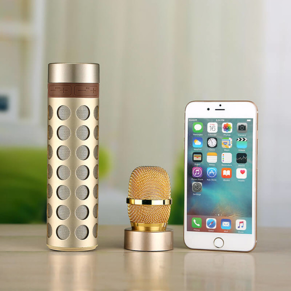 KARAOKE BLUETOOTH-LAUTSPRECHER MIT MIKROFON