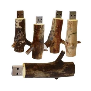 USB-STICK HOLZ ZWEIG - Reklamnepredmety