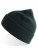 Kappe Rio Beanie - AT804_Bottle-Green - variant Ls 1000315528