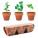 FLOWERPOT - mo6145-40 - variant Mo MO6145-40