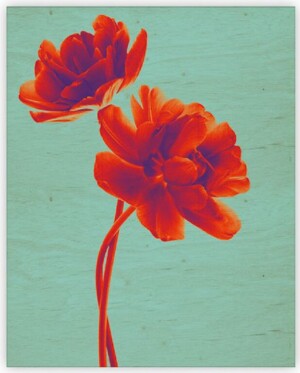 Drevený obraz Tulip - Reklamnepredmety