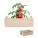 TOMATO - mo6498-40 - variant Mo MO6498-40