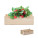 STRAWBERRY - mo6506-40 - variant Mo MO6506-40