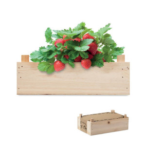 STRAWBERRY - Reklamnepredmety