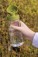Tritan™ Renew 0,5L Flasche Made In EU, grün - p433.467__m_400 - variant XD P433.467