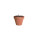 seed ball - ap722388-c-mc0602bs-optimized - variant 