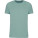 Herren Bio IC T-Shirt K3025IC