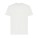 Iqoniq Tikal Sport Quick-Dry T-Shirt aus rec. Polyester, Hellgrau