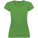 Victoria Damen-T-Shirt mit kurzen Ärmeln und V-Ausschnitt - R66465U - variant PF R66465U1