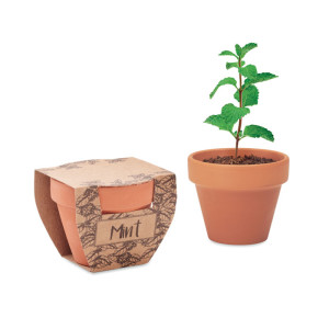 MINT POT - Reklamnepredmety