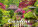 Kalender Gardens - N130-27_013 - variant He N130-27
