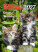 Kalender Katzenbabys - N180-27_013 - variant He N180-27