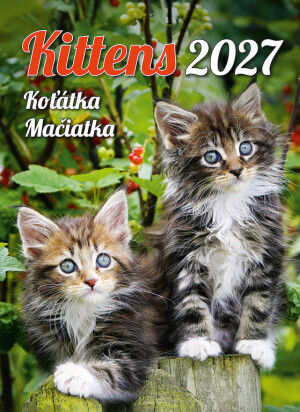 Kalender Katzenbabys - Reklamnepredmety