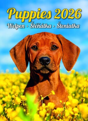 Kalender Welpen - Reklamnepredmety