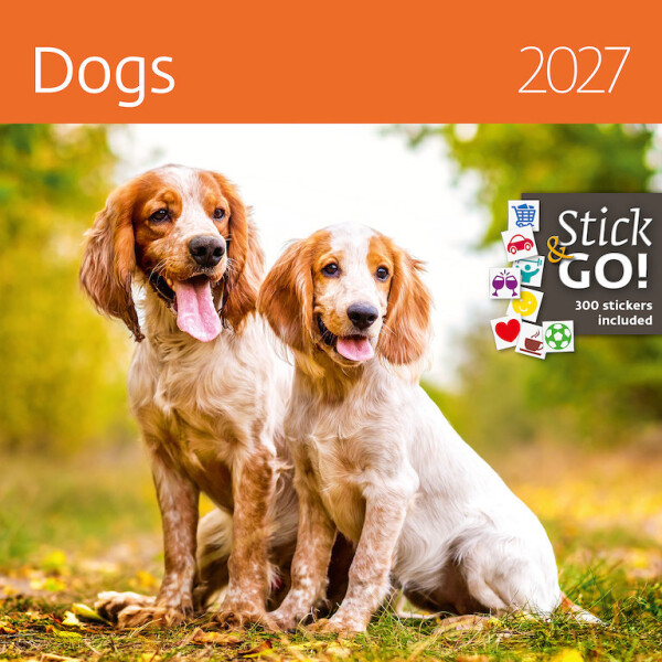 Kalender Dogs