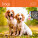 Kalender Dogs - LP02-27_013 - variant He LP02-27