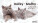 Kalender Katzen - S33-27_002 - variant He S33-27