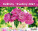 Kalender Blumen - SM07-27_002 - variant He SM07-27