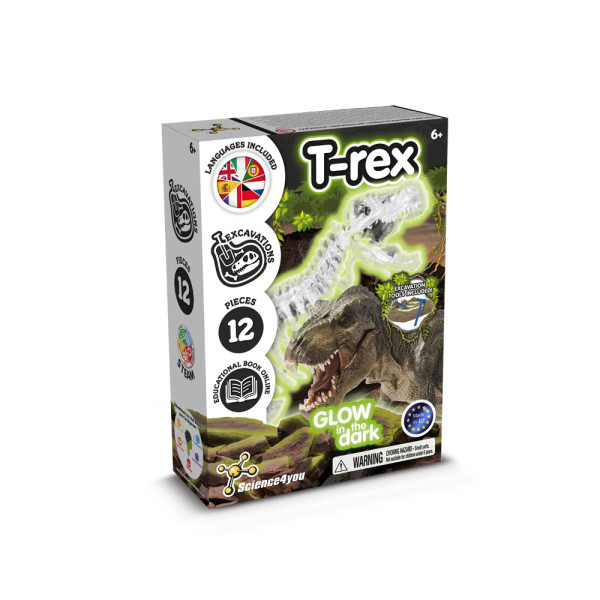 Fossilien-Ausgrabungsset I. Lernspiel für Kinder