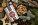 Lebkuchen-Granola 400 g - s044008 - variant 