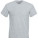 F270 Valueweight V-Neck T - F270-Heather-Grey - variant Ls 1000056495