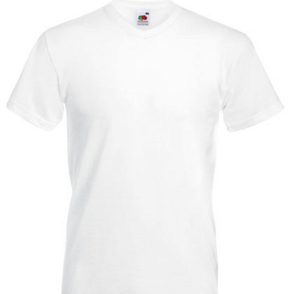 F270 Valueweight V-Neck T