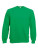 F304 Classic Raglan Sweat - 465138 - variant 