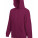 F421N Premium Hooded Sweat - F421N-Burgundy - variant Ls 1000059033