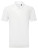 Das Asquith GlacierTech Polo für Herren - 2548154 - variant 
