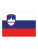 Flaggen – verschiedene Länder, 900 x 1500 mm - FLAGSI_Slovenia - variant Ls 1000063525