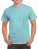 GH000 Hammer Adult T-Shirt - GH000_Chalky-Mint - variant Ls 1000250782