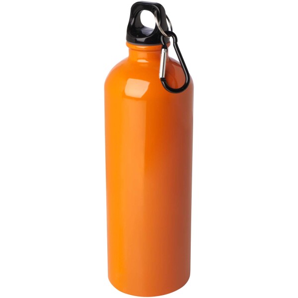 750 ml Oregon einwandige Edelstahl-Trinkflasche mit RCS-Zertifizierung und Karabiner