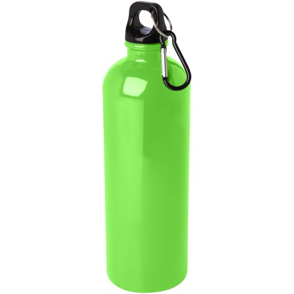 750 ml Oregon einwandige Edelstahl-Trinkflasche mit RCS-Zertifizierung und Karabiner
