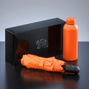 ACTIVE SET: THERMALWASSERFLASCHE UND AUTOMATIKSCHIRM - Reklamnepredmety
