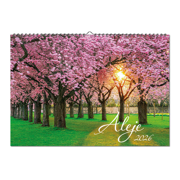 Wandkalender Alleys 2026