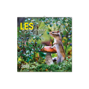 Wandkalender Der Wald und seine Geschichten 2026 - Reklamnepredmety