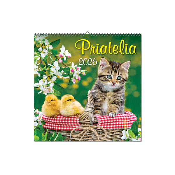 Wandkalender Freunde 2026