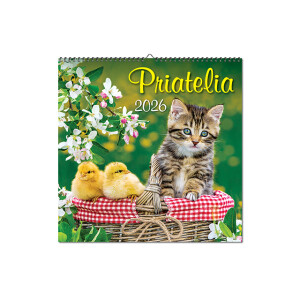 Wandkalender Freunde 2026 - Reklamnepredmety