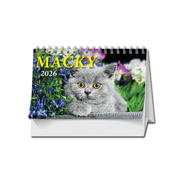 Tischkalender Katzen 2026