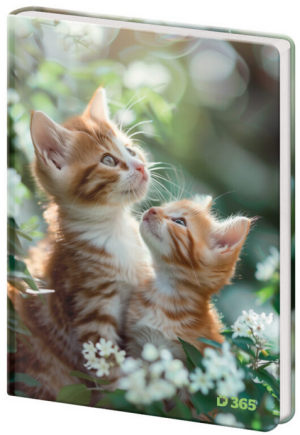 Gedenktafel A5 13x18cm klar Tabby - Reklamnepredmety