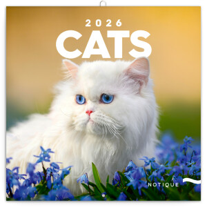 NOTIQUE Notizblock Katzen 2026, 30 x 30 cm - Reklamnepredmety