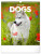 NOTIQUE Wandkalender Hunde 2026, 30 x 34 cm