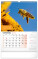 NOTIQUE Wand-Imkerkalender CZ 2026, 33 x 46 cm - pgn-35733-l_07 - variant Pg PGN-35733-L
