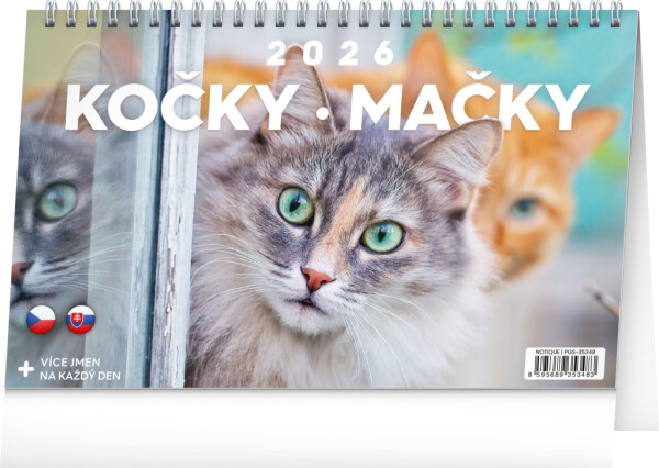 NOTIQUE Tischkalender Katzen – Cats CZ/SK 2026, 23,1 x 14,5 cm