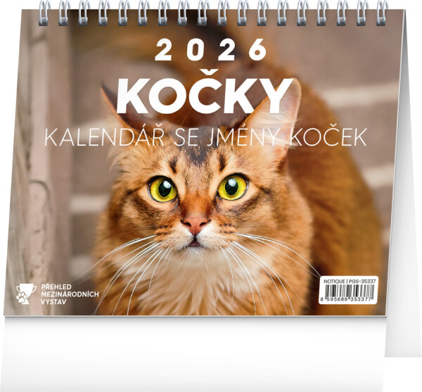 NOTIQUE Tischkalender Katzen - mit Katzennamen CZ 2026, 16,5 x 13 cm