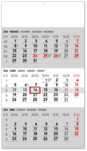 NOTIQUE Wandkalender 3 Monate Standard grau – mit tschechischen Namen CZ 2026, 29,5 x 43 cm - Reklamnepredmety
