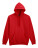 GISF500 Kapuzenpullover - AP592914-05_XXL - variant Ap 592914-05_XXL