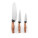 BAHARAT. Set aus 3 Küchenmessern mit Edelstahlklinge und ergonomischem Griff - 94395-160-a - variant 