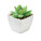 ARTIGRAP Kleine künstliche Pflanze - mo2854-06 - variant Mo MO2854-06